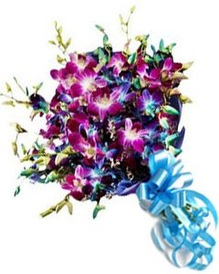 Purple & Blue