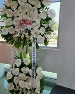 White Anthuriums, lilies & orchids Arrangement